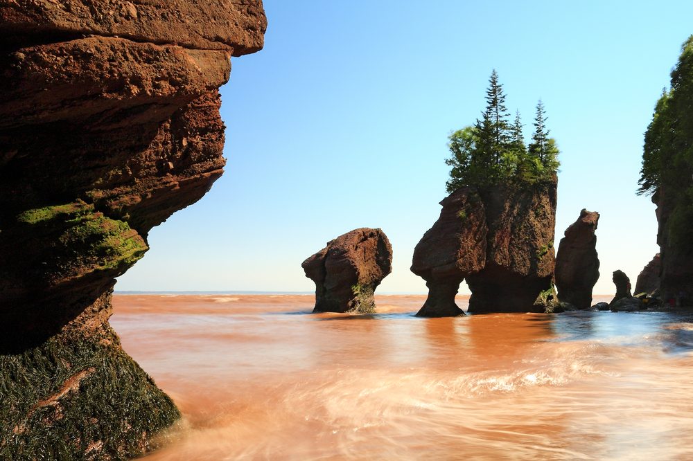 Fundy National Park (Official GANP Park Page)